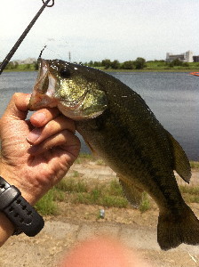 IMG_0609.jpg