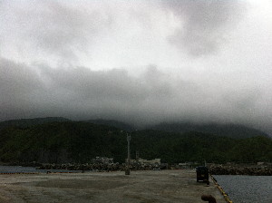 IMG_0613.jpg